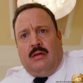 Paul Blart