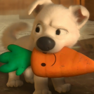 MisterCarrot