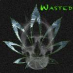 WastedMike