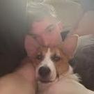 DaveO