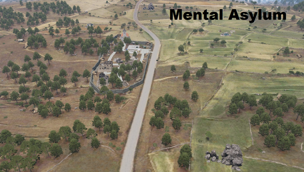 90736832_MentalAsylum.PNG