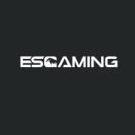 Esgaming
